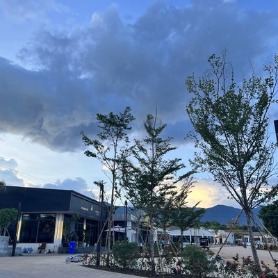 案例配图13